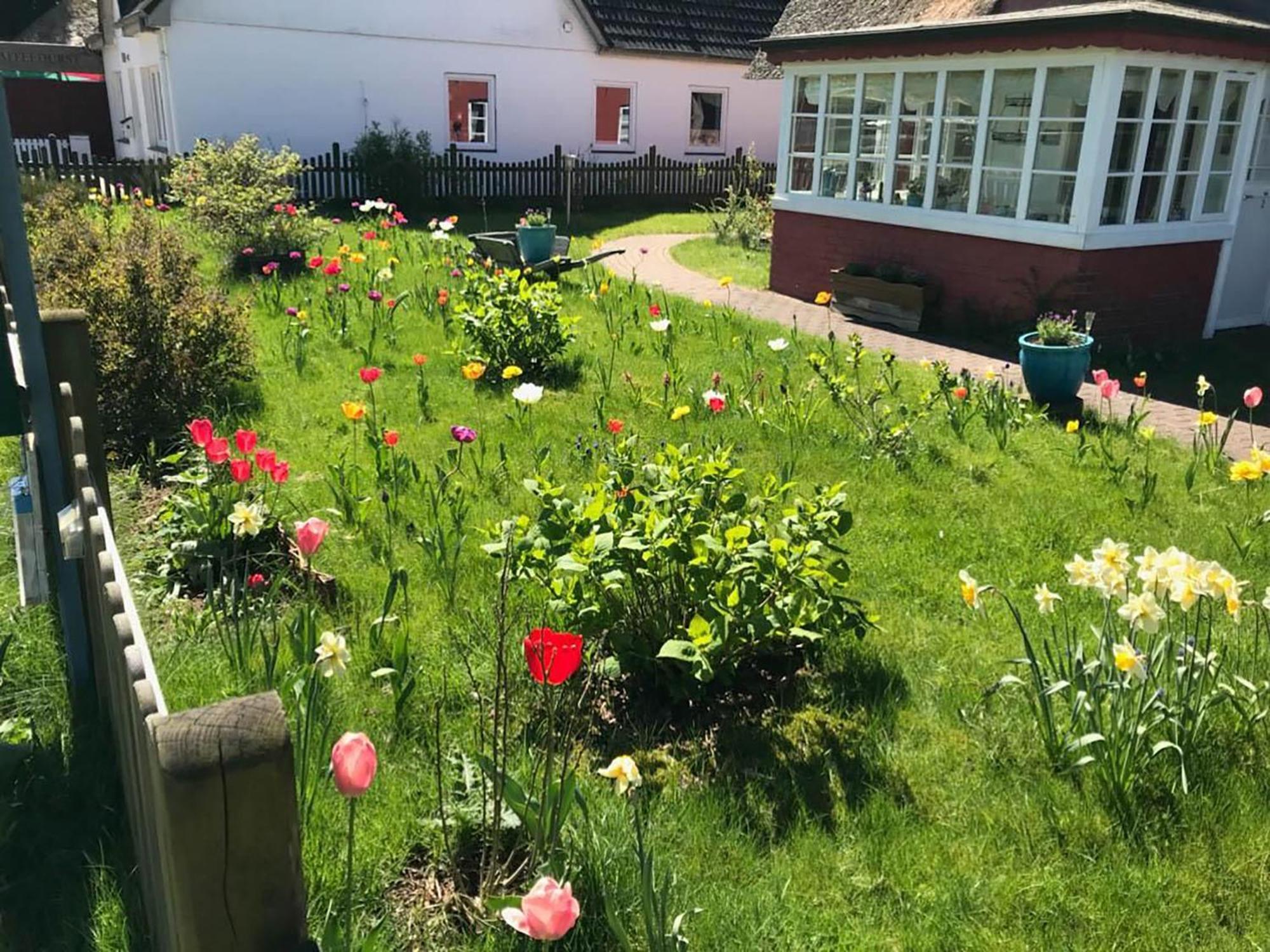 Hues Sanskiin Ferienwohnung *Brombelbei* Suddorf Luaran gambar