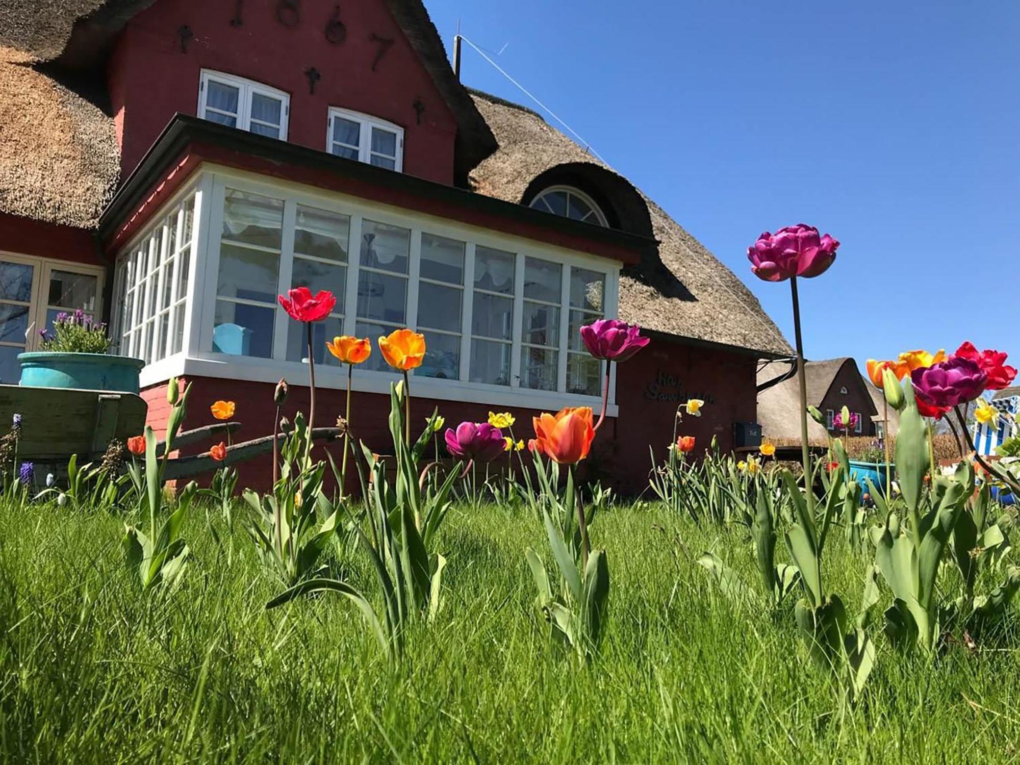 Hues Sanskiin Ferienwohnung *Brombelbei* Suddorf Luaran gambar